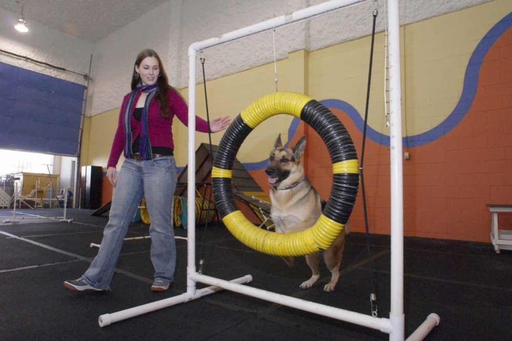 Dog Smart Training Center